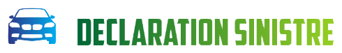 Déclaration Sinistre Logo